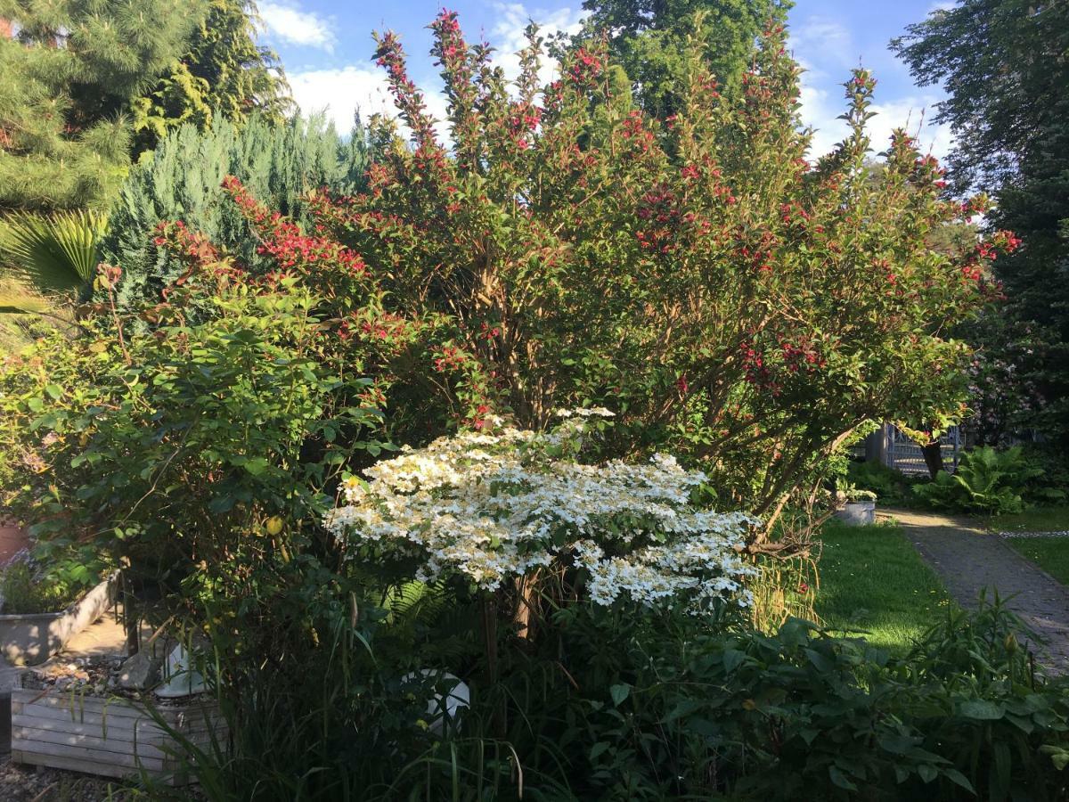Apartment Tinyhouse Mit Pool, Outdoor Whirlpool Und Garten Petershagen-Eggersdorf ภายนอก รูปภาพ
